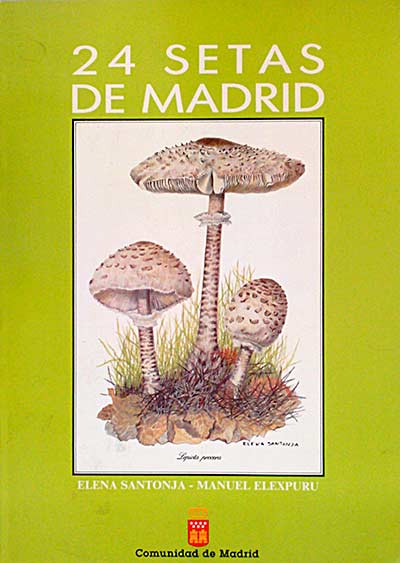 24 setas de Madrid 