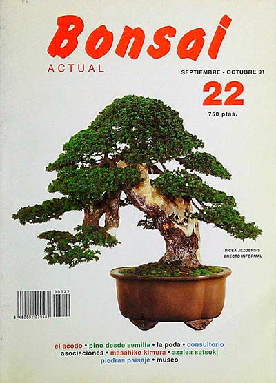 Bonsai actual 22