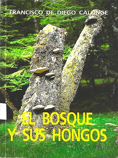 El busque y sus hongos 