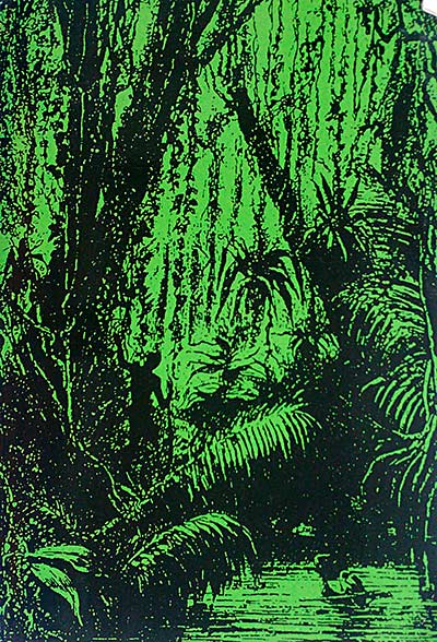 Amazonas: Un viaje imposible