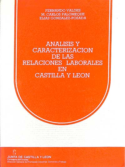 Análisis y caracterización de las relaciones laborales en Castilla y León