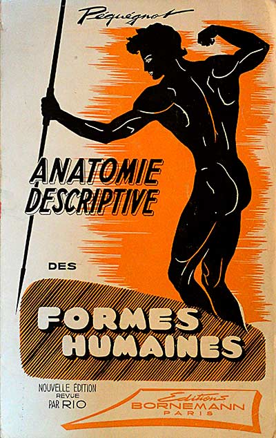 ANATOMIE DESCRIPTIVE DES FORMES HUMAINES