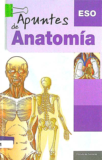 Apuntes de Anatomía