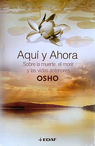 Aquí y ahora. Sobre la muerte, el morir y las vidas anteriores