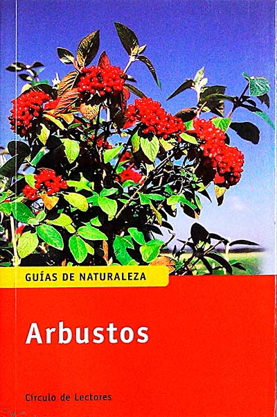 Arbustos