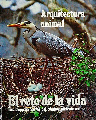 Arquitectura Animal. El reto de la vida 1