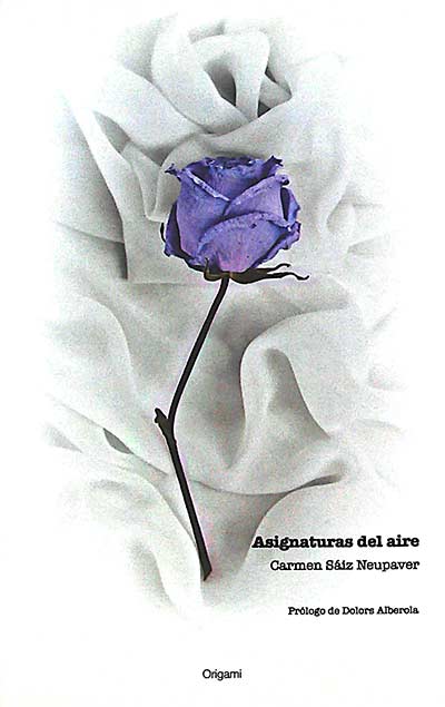 Asignaturas del aire