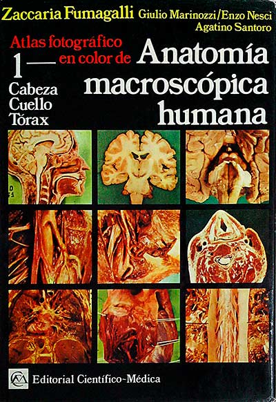 Atlas fotográfico en color de Anatomía macroscópica humana. Tomo I