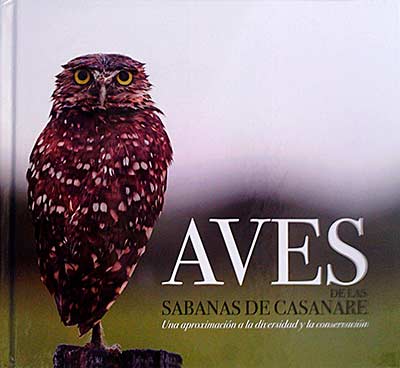 Aves de las sabanas de casanare 