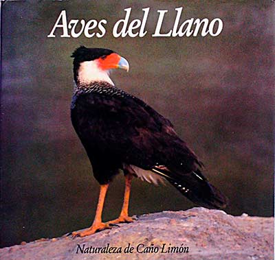 Aves del llano