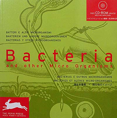 Bacterias y otros microorganismos. 