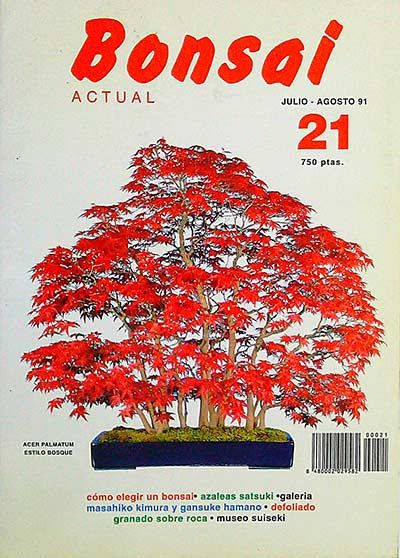 Bonsai actual 21
