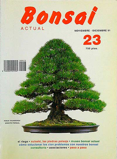 Bonsai actual 23