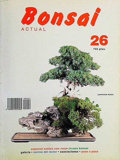 Bonsai actual 26