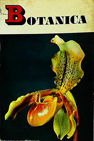 Botánica