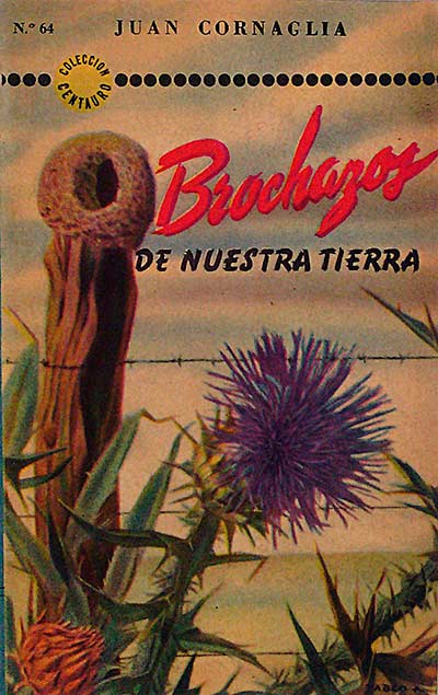 Brochazos de nuestra tierra