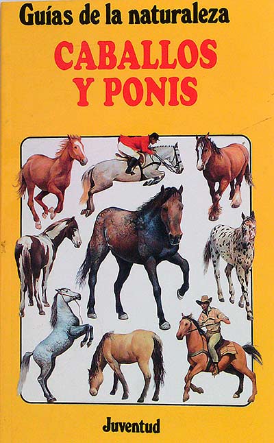 Caballos y ponis 
