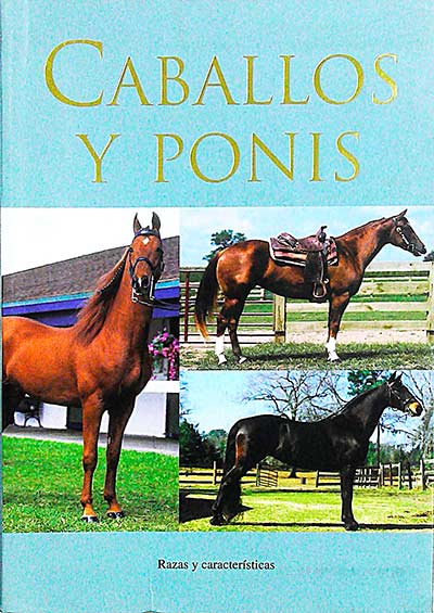 Caballos y ponis