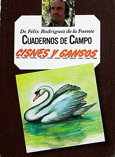 Cisnes y gansos