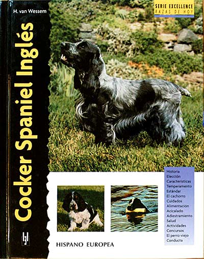 COCKER SPANIEL INGLÉS