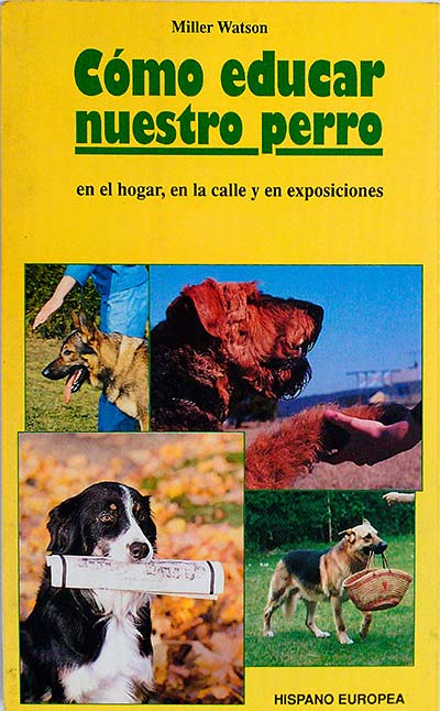 Cómo educar nuestro perro