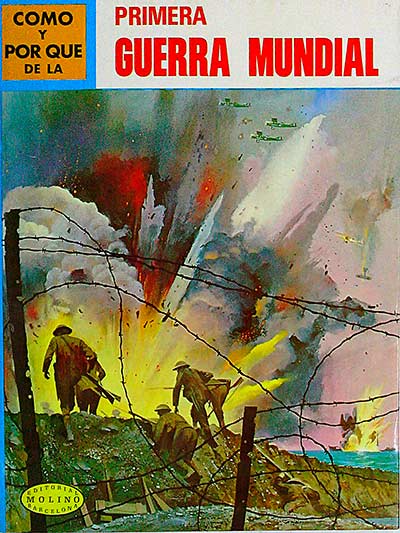 Como y Por que de la Primera Guerra Mundial. 28