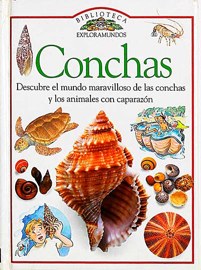 Conchas 
