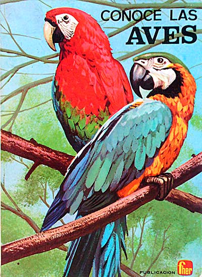 Conoce las aves