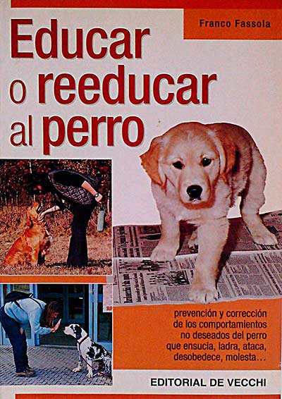 Educar o reeducar al perro