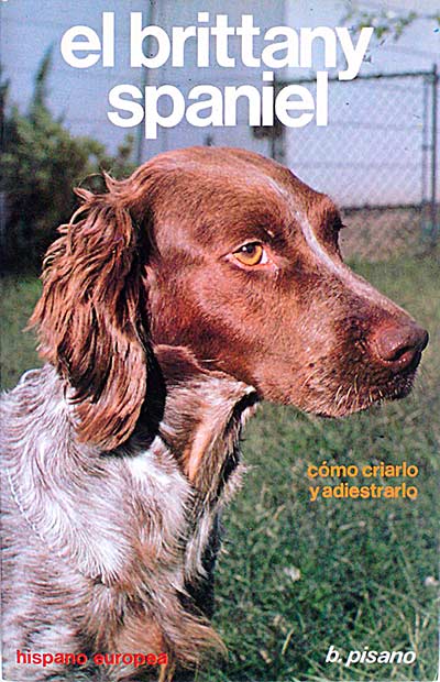 El brittany spaniel.