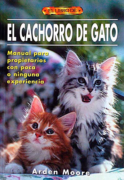 El cachorro de gato