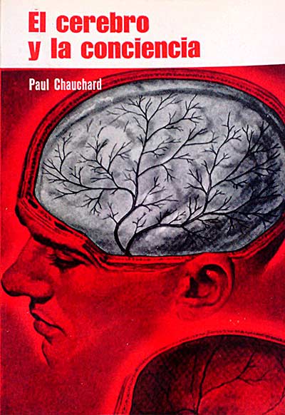 El cerebro y la conciencia