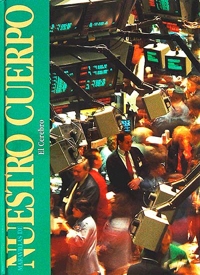 El cerebro