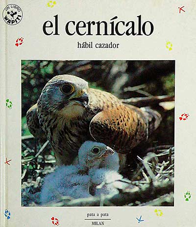 El cernícalo. Hábil cazador
