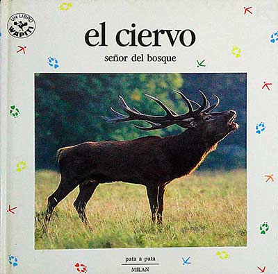 El ciervo. Señor del bosque