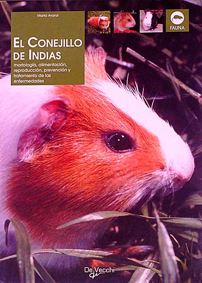 El conejillo de Indias