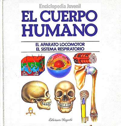 El cuerpo humano I