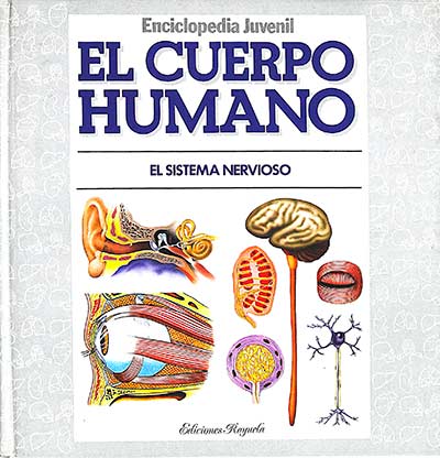 El cuerpo humano III