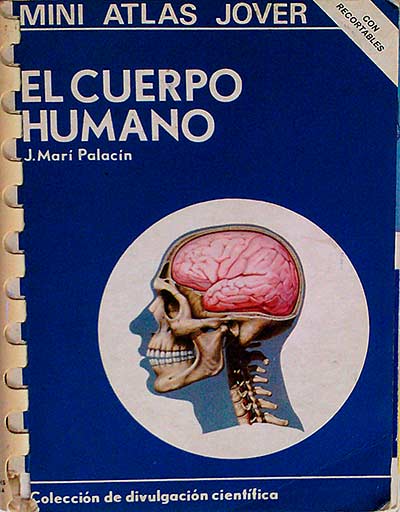 El cuerpo humano