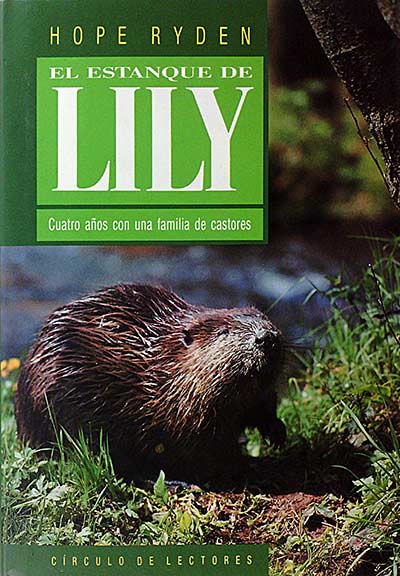 El estanque de Lily