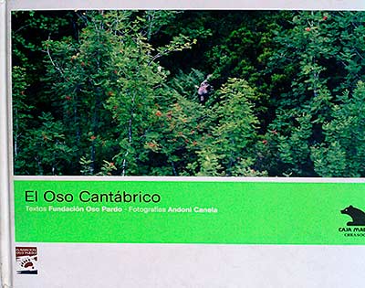 El Oso Cantábrico