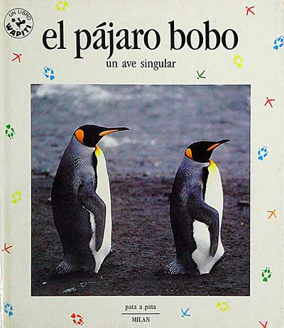 El pájaro bobo. Un ave singular