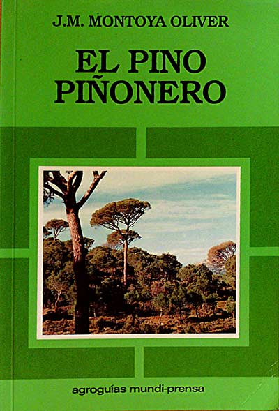 EL PINO PIÑONERO