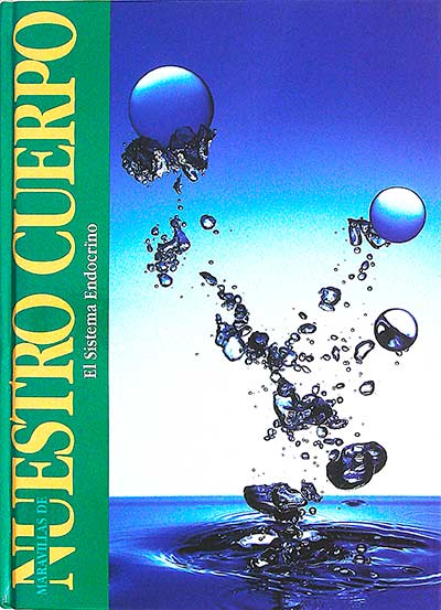 El sistema endocrino