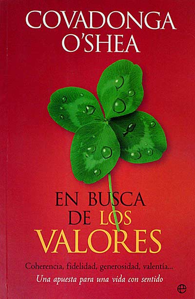 En busca de los valores