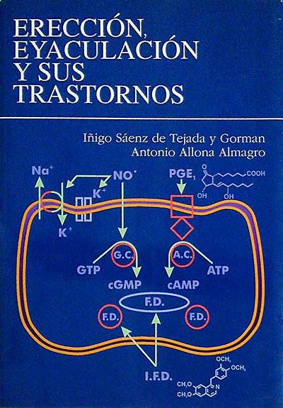 Erección, eyaculación y sus trastornos