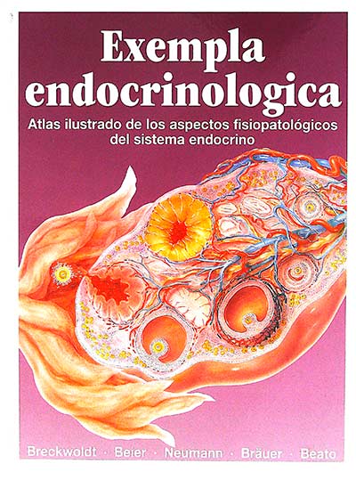 Exempla endocrinológica II