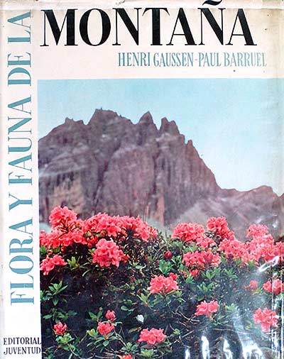Flora y fauna de la Montaña