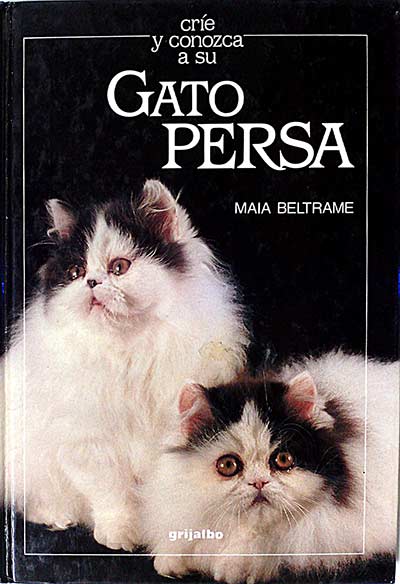 Gato Persa