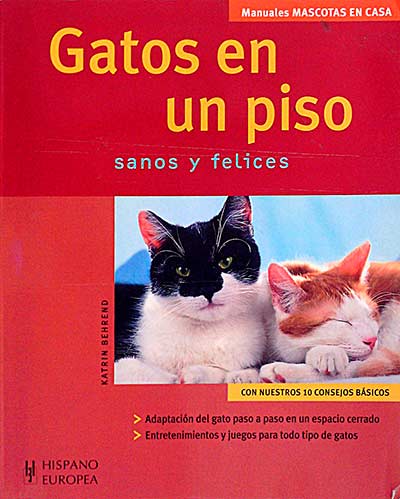 Gatos en un piso 